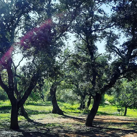 Εξοχικό σπίτι Quinta Pedras - *