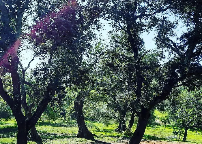 Séjour à la campagne Quinta Pedras - *