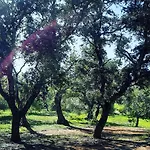 Casa di campagna Quinta Pedras - *