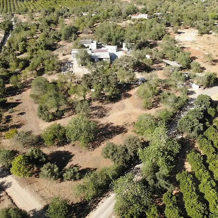 Casa de Campo Quinta Pedras -