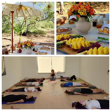 Quinta Pedras - Landhaus *