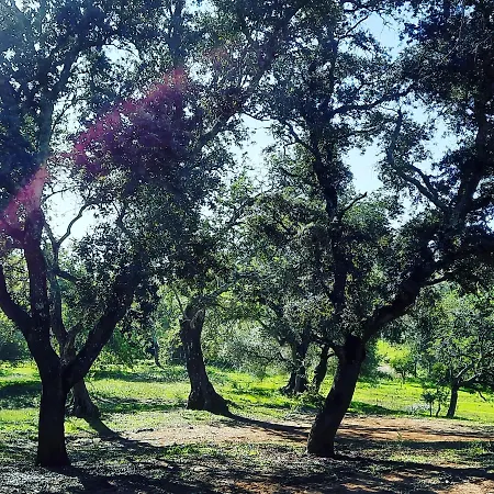 Casa di campagna Quinta Pedras - *