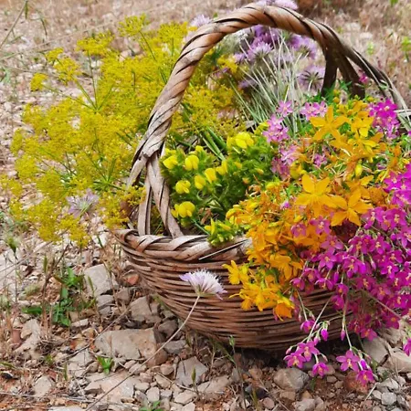 Quinta Pedras - Casa di campagna